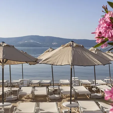 אתר נופש Aurum Didyma &