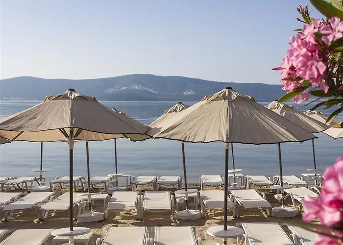 Aurum Didyma & אתר נופש Akbük