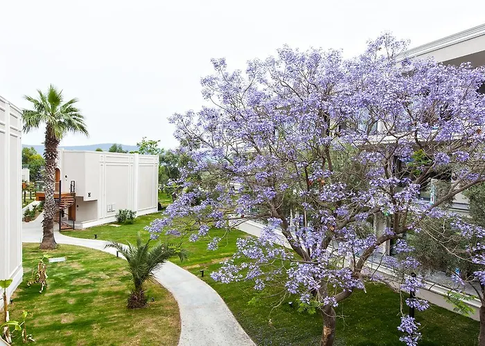 Aurum Didyma & Rezort 5*